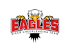 provide creative eagles logo with satisfaction guaranteed
