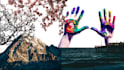 swiftly change your photo backgrounds