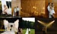 editing wedding photos quickly and efficiently