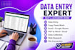 do data entry, copy paste, web research, excel, word and power point data entry