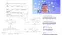 write sql query, database procedure, erd and normalization