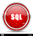 assistant  ms sql server, mysql, postgre , sql db developer