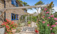 replace grass, blue sky and edit real estate images