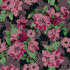 create seamless digital print textile pattern designs