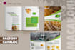 do catalog design, company profile, brochure, and magazine