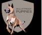 make a stunning dog training logo badge patch
