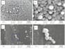 do plotting and analysis of xrd, SEM, tem, edx and ftir