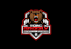 create high quality attractive shield logo with unlimited revisions