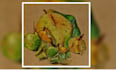 hand paint awesome illustrations for you in my style
