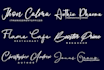 do creative and modern handwritten signature, scripted and font logo design