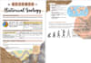 take notes from textbooks, files, audios, videos