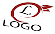 design a professional modern logo
