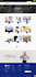 provide wp design services with affordable and customized