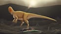illustrate your favorite dinosaurs