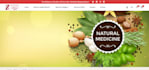 design stunning shopify website, shopify dropshipping store