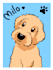 draw your pets with my cute cartoon style