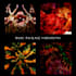 create experimental digital art for album covers