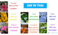 teach thai simple and fun way via zoom