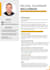 do professional resume design within 2 hrs