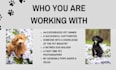 write a blog about dogs, cats, fish, guinea pigs, and more
