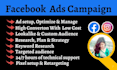 be your facebook ads campaign manager, run fb ads campaign