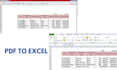 convert PDF to excel