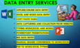 data entry and copy paste and web research and excel data
