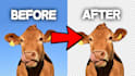 make your picture transparent or change it