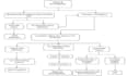 write cannabis procedures sops and policies