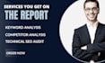 do website SEO audit report an action plan to rank, and competitor analysis