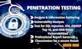 vulnerability and penetration test on your website security