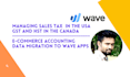 do accounting and bookkeeping using wave apps