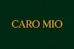 design a modern minimalist luxury logo with a premium touch