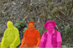 do image annotation, segmentation, bounding box,  data labeling