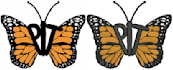 do embroidery digitize logo