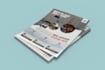 do professional flyer design with in 24 hours