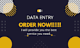 do any kind of data entry copy paste in excel and word