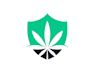 design eye catching cannabis logo