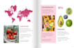 design ebook cover, amazon kindle book