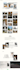 create a professional website using wordpress
