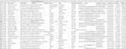 do web scraping and data mining, lead generation