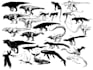 design and illustrate your creature