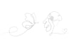 draw continuous line art animations