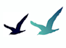 vector tracing, vectorize, image to vector