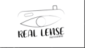design flat minimalist or line art logo