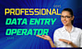 do fastest data entry within one day