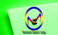 do professional a women shoes logo design for you