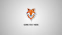 create a professional custom logo animation with low price