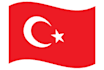 translate documents from english to turkish or vice versa