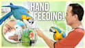 design eye catching amazing youtube thumbnails